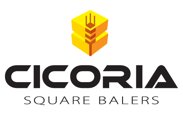 Cicoria S.r.l.